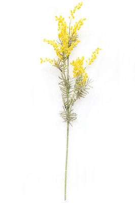 Штучна квітка Мімоза (Акація), 88 см, жовтий, полімерний матеріал, тканина (630133) 630133 фото
