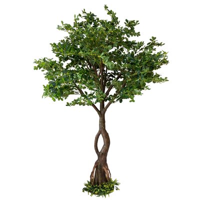 Штучне дерево - Піттоспорум 250 см, на підставці (360559) 360559 фото