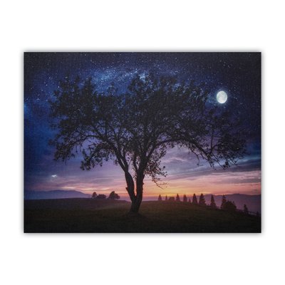 Светящаяся картина - ночное небо со светящейся полной луной, 1 LЕD лампа, 30x40 см (940225) 940225 фото